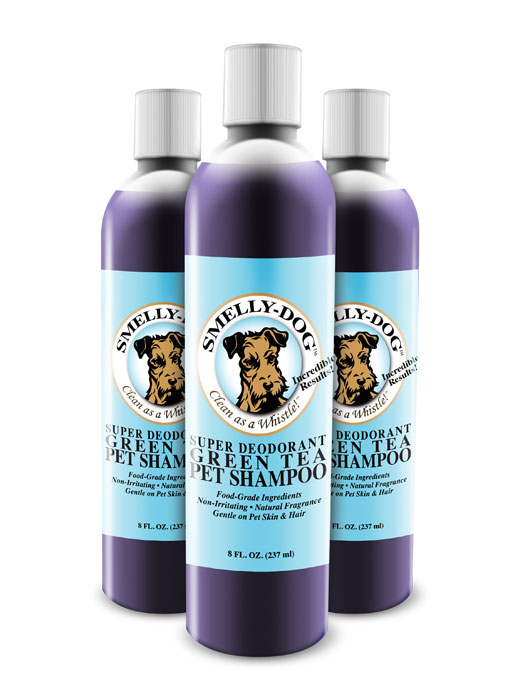 Smelly-Dog Shampoo